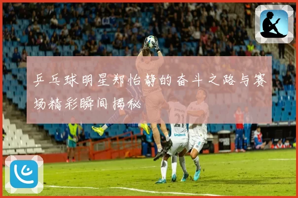 乒乓球明星郑怡静的奋斗之路与赛场精彩瞬间揭秘