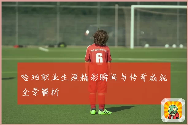 哈珀职业生涯精彩瞬间与传奇成就全景解析