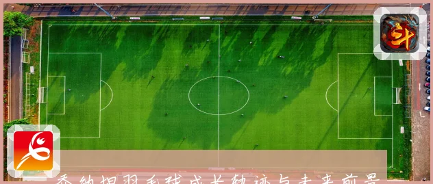 乔纳坦羽毛球成长轨迹与未来前景解析
