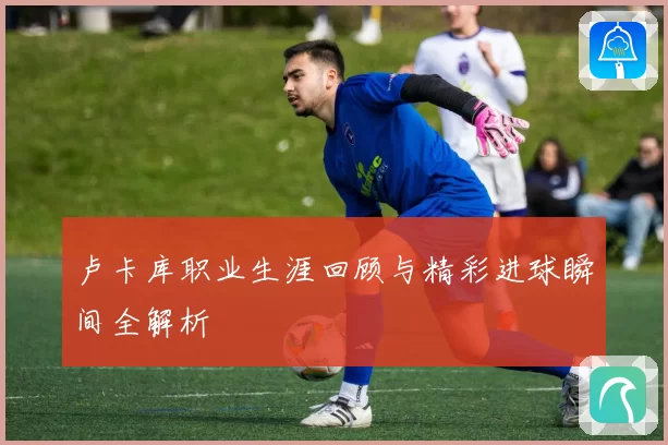 卢卡库职业生涯回顾与精彩进球瞬间全解析