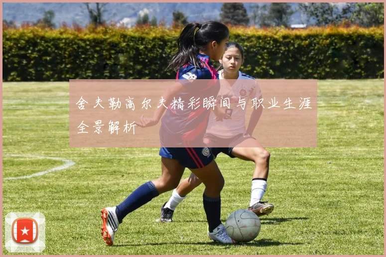 舍夫勒高尔夫精彩瞬间与职业生涯全景解析