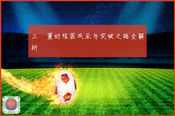 三笘薰的绿茵风采与突破之路全解析