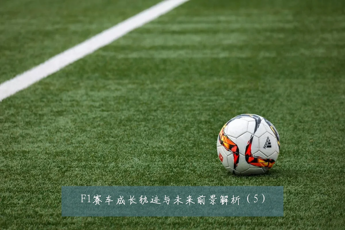 F1赛车成长轨迹与未来前景解析（5）