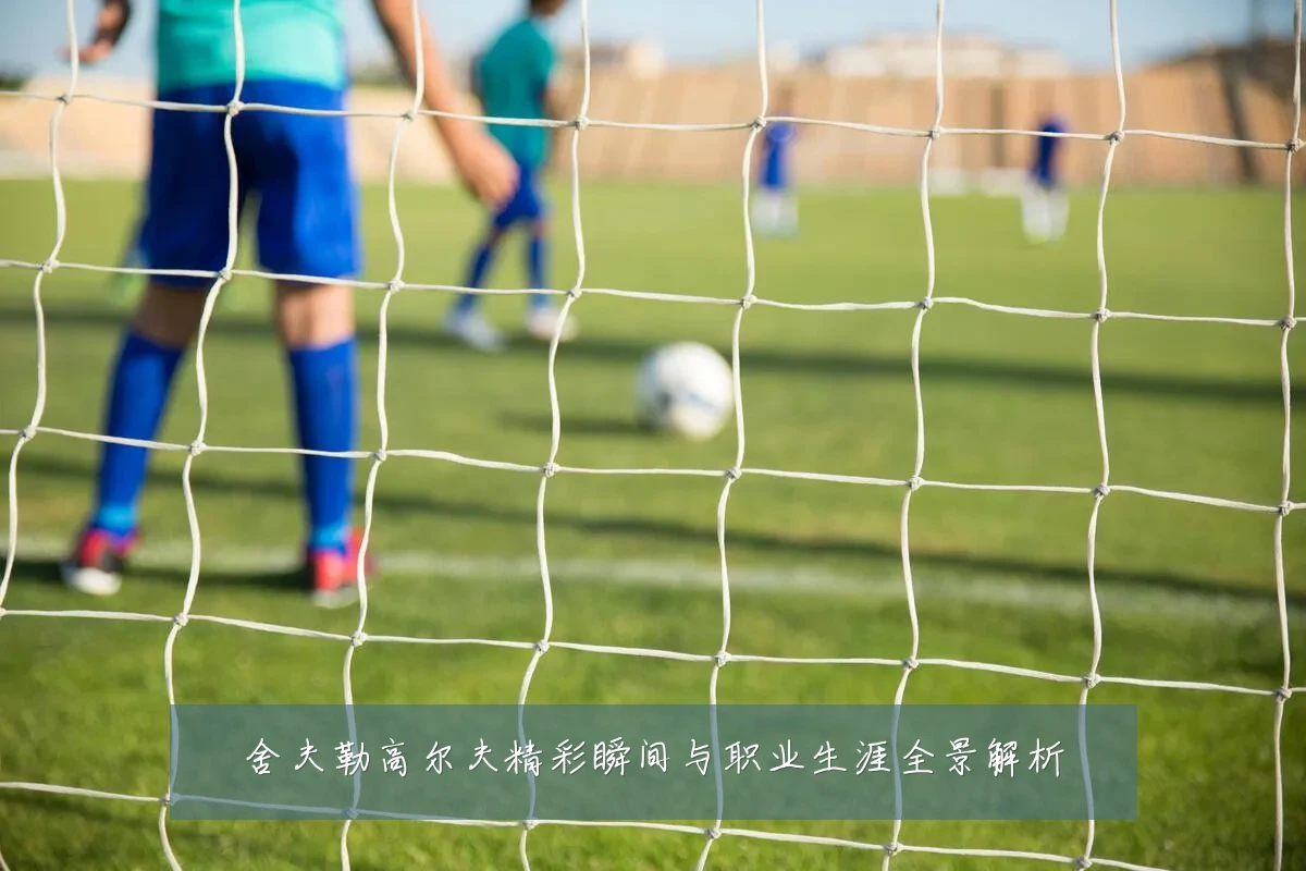 舍夫勒高尔夫精彩瞬间与职业生涯全景解析