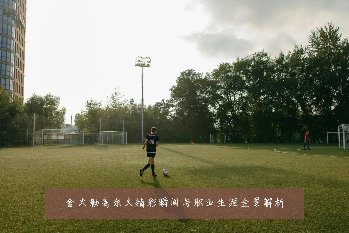 舍夫勒高尔夫精彩瞬间与职业生涯全景解析